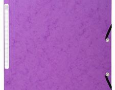 PAQUET CHEMISE BULL VIOLET